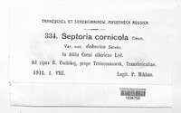 Image Associated With the Occurence